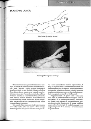 M. GRANDE DORSAL
Vista lateral da posição de teste.
Posição preferida para o antebraço.
O encurtamento do m. grande dorsal acarreta limi-
tação da elevação do membro superior em flexão e abdu-
ção e tende a deprimir a cintura escapular para baixo e
para frente. Numa curva C direita da coluna vertebral, as
fibras laterais do m. grande dorsal esquerdo com fre-
qüência se encurtam. Numa cifose acentuada, as fibras
anteriores encurtam-se bilateralmente. O encurtamento
deste músculo pode ser observado em indivíduos que
caminharam com muletas durante um período prolon-
gado, por exemplo, paciente com paraplegia que utiliza
uma marcha em três pontos.
Este músculo é importante em relação a movimentos
como subir escadas, andar com muletas e elevar o corpo
em barras paralelas, nos quais os músculos atuam para ele-
var o corpo em direção aos membros superiores fixos. A
força do m. grande dorsal é um fator a ser considerado nos
movimentos forçados do membro superior, como nadar,
remar e picar um alimento. Todos os músculos adutores e
rotadores m~diais atuam nesses movimentos fortes, entre-
tanto o m. grande dorsal pode ser fundamental.
No plano coronal, o m. grande dorsal é o oponente
mais direto da parte ascendente do m. trapézio. Deve-se
testar a força dom. grande dorsal quando o ombro esti-
ver elevado, como nos casos de contração da parte supe-
rior do m. trapézio durante o ato de segurar o telefone
com o ombro. A restauração do equilíbno muscular pode
exigir alongamento do m. trapézio e fortalecii:nento do
m. grande dorsal.
 
