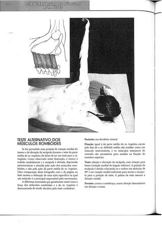 TESTE ALTERNATIVO DOS
MÚSCULOS ROMBÓIDES
Se for permitida uma posição de rotação mediai do
úmero e de elevação da escápula durante o teste da parte
média do m. trapézio, ele deixa de ser um teste para o m.
trapézio. Como observado nesta ilustração, o úmero é
rodado medialmente e a escápula é elevada, deprimida
anteriormente e aduzida pela ação dos músculos rom-
bóides, e não pela ação da parte média do m. trapézio.
Uma comparação desta fotografia com a da página ao
lado mostra a obtenção de uma ação específica na qual
um músculo é o principal responsável pelo movimento.
A diferença acentuada que geralmente existe entre a
força dos músculos rombóides e a do m. trapézio é
demonstrada de modo decisivo pelo teste cuidadoso.
Paciente: em decúbito ventral.
Fixação: igual à da parte média do m. trapézio, exceto
pelo fato de o m. deltóide médio não auxiliar como um
músculo interveniente, e os músculos extensores do
cotovelo são necessários para auxiliar na fixação do
membro superior.
Teste: adução e elevação da escápula, com rotação para
baixo (rotação mediai do ângulo inferior). A posição da
escápula é obtida colocando-se o ombro em abdução de
90° e em rotação mediai suficiente para mover a escápu-
la para a posição de teste. A palma da mão assume a
direção caudal.
Pressão: contra o antebraço, numa direção descendente
em direção à mesa.
 
