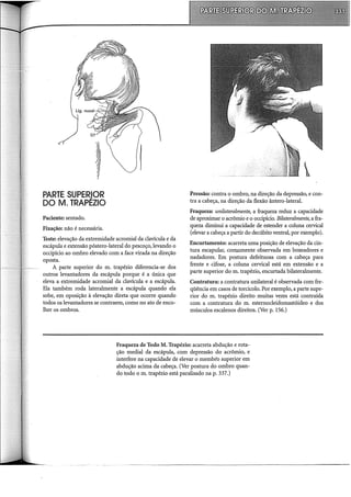 'I'
~
~
PARTE SUPERIOR
DO M. TRAPÉZIO
Paciente: sentado.
Fixação: não é necessária.
Teste: elevação da extremidade acrornial da clavícula e da
escápula e extensão póstero-lateral do pescoço, levando o
occipício ao ombro elevado com a face virada na direção
oposta.
A parte superior do m. trapézio diferencia-se dos
outros levantadores da escápula porque é a única que
eleva a extremidade acrornial da clavícula e a escápula.
Ela também roda lateralmente a escápula quando ela
sobe, em oposição à elevação direta que ocorre quando
todos os levantadores se contraem, como no ato de enco-
lher os ombros.
Pressão: contra o ombro, na direção da depressão, e con-
tra a cabeça, na direção da flexão ântero-lateral.
Fraqueza: unilateralmente, a fraqueza reduz a capacidade
de aproximar o acrôrnio e o occipído. Bilateralmente, a fra-
queza diminui a capacidade de estender a coluna cervícal
(elevar a cabeça a partir do decúbito ventral, por exemplo).
Encurtamento: acarreta uma posição de elevação da cin-
tura escapular, comumente observada em boxeadores e
nadadores. Em postura defeituosa com a cabeça para
frente e cifose, a coluna cervícal está em extensão e a
parte superior do m. trapézio, encurtada bilateralmente.
Contratura: a contratura unilateral é observada com fre-
qüência em casos de torcicolo. Por exemplo, a parte supe-
rior do m. trapézio direito muitas vezes está contraída
com a contratura do m. esternocleidomastóideo e dos
músculos escalenos direitos. (Ver p. 156.)
Fraqueza de Todo M. Trapézio: acarreta abdução e rota-
ção mediai da escápula, com depressão do acrôrnio, e
interfere na capacidade de elevar o membro superior em
abdução acima da cabeça. (Ver postura do ombro quan-
do todo o m. trapézio está paralisado na p. 337.)
---~~~----------------------------
 