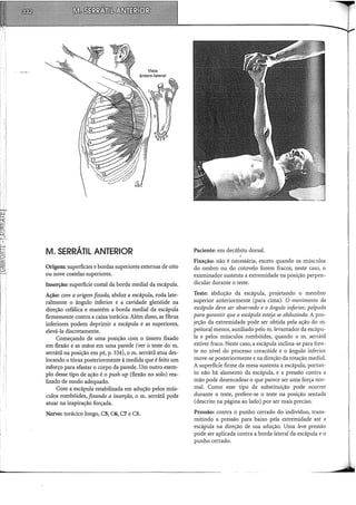 t
I
M. SERRÁTIL ANTERIOR
Vista
ântero-lateral
Origem: superfícies e bordas superiores externas de oito
ou nove costelas superiores.
Inserção: superfície costal da borda medial da escápula.
Ação: com a origem fixada, abduz a escápula, roda late-
ralmente o ângulo inferior e a cavidade glenóide na
direção cefálica e mantém a borda medial da escápula
firmemente contra a caixa torácica. Além disso, as fibras
inferiores podem deprimir a escápula e as superiores,
elevá-la discretamente.
Começando de uma posição com o úmero fixado
em flexão e as mãos em uma parede (ver o teste do m.
serrátil na posição em pé, p. 334), o m. serrátil atua des-
locando o tórax posteriormente à medida que é feito um
esforço para afastar o corpo da parede. Um outro exem-
plo desse tipo de ação é o push-up (flexão no solo) rea-
lizado de modo adequado.
Com a escápula estabilizada em adução pelos mús-
culos rombóides, fixando a inserção, o m. serrátil pode
atuar na inspiração forçada.
Nervo: torácico longo, C5, C6, C7 e CS.
Paciente: em decúbito dorsal.
Fixação: não é necessária, exceto quando os músculos
do ombro ou do cotovelo forem fracos; neste caso, o
examinador sustenta a extremidade na posição perpen-
dicular durante o teste.
Teste: abdução da escápula, projetando o membro
superior anteriormente (para cima). O movimento da
escápula deve ser observado e o ângulo inferim; palpado
para garantir que a escápula esteja se abduzindo. A pro-
jeção da extremidade pode ser obtida pela ação do m.
peitoral menor, auxiliado pelo m.levantador da escápu-
la e pelos músculos rombóides, quando o m. serrátil
estiver fraco. Neste caso, a escápula inclina-se para fren-
te no nível do processo coracóide e o ângulo inferior
move-se posteriormente e na direção da rotação mediai.
A superfícíe firme da mesa sustenta a escápula, portan-
to não há alamento da escápula, e a pressão contra a
mão pode desencadear o que parece ser uma força nor-
mal. Como esse tipo de substituição pode ocorrer
durante o teste, prefere-se o teste na posição sentada
(descrito na página ao lado) por ser mais preciso.
Pressão: contra o punho cerrado do indivíduo, trans-
mitindo a pressão para baixo pela extremidade até a
escápula na direção de sua adução. Uma leve pressão
pode ser aplicada contra a borda lateral da escápula e o
punho cerrado.
 