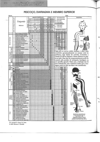 PESCOÇO, DIAFRAGMA E MEMBRO SUPERIOR
Nome
"'
-~
'1:
"
u
~
"
z
"'
c
5
Esquerdo
MÚSCULO
N= normal; F= fraco; G= bom.
© 2005 Florence P. Kendall.
------------------~
Data
O. =Ramo Primário Dorsal
T1
Caso n°2: os nervos radial, mediano e estão
envolvidos aproximadamente no mesmo nível do
antebraço, logo abaixo do cotovelo. (Consultar o
Quadro de Nervos Espinais ePontos Motores na pági-
na ao lado.) Esse tipo de comprometimento pode ser
-€'+-H causado pela pressão de torniquete, bandagem ou
um aparellio gessado. Neste caso, a etiologia não foi
bem estabelecida, mas o histórico indica que a ban-
dagem pode ter sido um fator a ser considerado.
Dermátomos reproduzidos de
Keegan and Garrett Anat Rec
102, 409, 437, 1948
Distribuição cutânea de nervos
periféricos reproduzida de Gray's
Anatamy of the Human Body. 2SJl ed.
Ne•
1
M.fl.
I
 