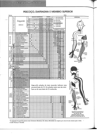 Nome
"
c:
5
PESCOÇO, DIAFRAGMA E MEMBRO SUPERIOR
Esquerdo
MÚSCULO
Data
O. =Ramo Primário Dorsal
Caso n°3: achados do teste muscular indicam uma
provável lesão de CS. Os achados neste caso são simi-
lares ao de uma lesão de CS conhecida.
C2
Dermátomos reproduzidos de
Keegan and Garrett Anat Rec
102, 409, 437, 1948
Distribuição cutânea de nervos
periféricos reproduzida de Gray'S
Anatomy of the Human Body. 2aa. ed.
*A respiração do paciente pareceu estar levemente dificultosa. Ele relatou dificuldade em respirar por cerca de uma semana após a lesão.
© 2005 Florence P. Kendall.
 