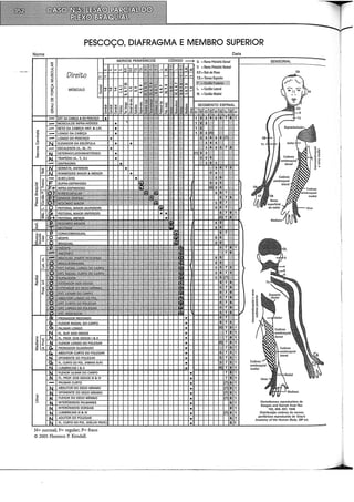 PESCOÇO, DIAFRAGMA E MEMBRO SUPERIOR
Nome
"'
"êã
"
"1:
"'
u
"'
c
5
a:
::i
:l
u
C/)
:l
2
(}
a:
f2
w
o
Direito
MÚSCULO
N= normal; F= regular; P= fraco
© 2005 Florence P. Kendall.
Data
D. =Ramo Primário Dorsal
C2
Oermãtomos reproduzidos de
Keegan and Garrett Anat Rec
102,409, 437, 19413
Distribuição cutânea de nervos
periféricos reproduzida de Gray'S
Anatomy of the Human Bady. 28il ed.
11
C:
 