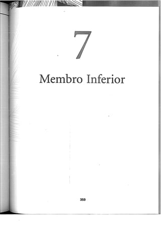 ljj///l:ffl/1I/I//II/I
embro Inferior
359
 