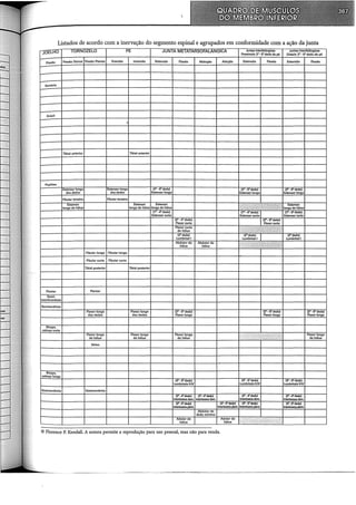 Listados de acordo com a inervação do segmento espinal e agrupados em conformidade com a ação da junta
JOELHO TORNOZELO PE JUNTA METATARSOFALANGICA Juntas lnterfalãngicas Juntas lnterfalãngicas
Prnximais: 2"- SOdedo do pé Distais: ~- SO dedo do pé
Flexão Flexão Dorsal Flexão Plantar Eversão Inversão Extensão Aexão Abdução Adução Extensão Aexão Extensão Aexão
Sartório
Grácil
.
libial anterior libial anterior
Poplíteo
Extensor longo Extensor longo 12°- 5"dedo) 12"·5"dedo) 12"-S"dedo)
dos dedos dos dedos Extensor longo Extensor longo Extensor longo
Fibular terceiro Rbularterceiro
Extensor Extensor Extensor
~
Extensor
longo do hálux longo do hálux longo do hálux longo do hálux
(1°- 4° dedo) 11°-4° dedo)
Extensor curto rto Extensor curto
l2°-5"dedo) (2"-5"dedo)
Aexorcurto Aexorcurto
Aexorcurto
t~"']~';J~-~i'fi~;~~fi~;~~r,,?:
do hálux
l2°dedo)
~
12"dedo)
Lumbricall lumbricall
Abdutor do Abdutordo
hálux hálux
Fibular longo Rbular longo
Fibular curto Fibular curto
libial posterior libial posterior
Plantar Plantar
Semi~
membranáceo
Semitendineo
Flexor longo Aexorlongo 12°- 5"dedo) 12°· 5"dedo) (2°·5"dedo)
dos dedos dos dedos Aexorlongo Flexor longo Aexorlongo
Bíceps,
cabeça curta
Aexor longo Aexor longo Aexor longo
}::S"~"i ~;-~"i;,<P~
Aexor longo
do hâlux do hâlux do hãlux do hãlux
Sôleo
Bíceps,
cabeça longa
13"-S"dedo) 13"-S"dedo) 13"-S"dedo)
Lumbricais ll-IV Lumbricais IJ..IV lumbricais IHV
Gastrocnêmio Gastrocnêmio
l2"·4°dedo) 12"-4°dedo) 12"-4°dedo) 12"-4°dedo)
lnterósseosdas. lnterósseosdas. lnterósseosdas. lnterósseosdas.
13"-S"dedo) 13"-S"dedo) 13"-S"dedo) 13"-S"dedo)
lnterósseosplant lnterósseosplant lnterósseosplant lnterósseosplant
Abdutordo
dedo mínimo
Adutor do Adutordo
:'?; !,;, ).'" '.:' ' ~~ :
hálux hálux
© Florence P. Kendall. A autora permite a reprodução para uso pessoal, mas não para venda.
···-···---~---------------------------
 