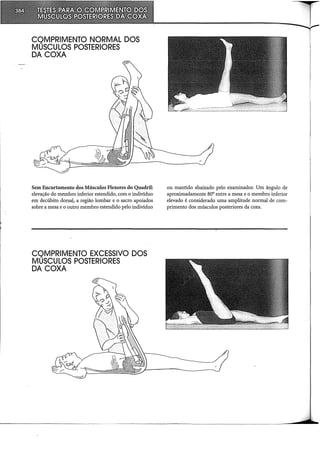 CQMPRIMENTO NORMAL DOS
MUSCULOS POSTERIORES
DA COXA
Sem Encurtamento dos Músculos Flexores do Quadril:
elevação do membro inferior estendido, com o indivíduo
em decúbito dorsal, a região lombar e o sacro apoiados
sobre a mesa e o outro membro estendido pelo indivíduo
CQMPRIMENTO EXCESSIVO DOS
MUSCULOS POSTERIORES
DA COXA
ou mantido abaixado pelo examinador. Um ângulo de
aproximadamente 80° entre a mesa e o membro inferior
elevado é considerado uma amplitude normal de com-
primento dos músculos posteriores da coxa.
 