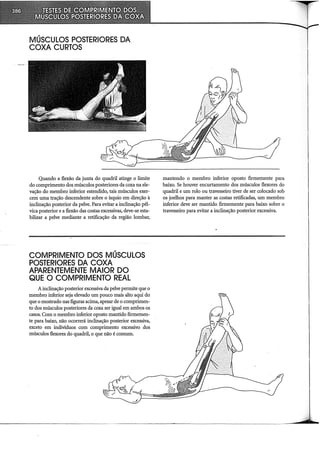MÚSCULOS POSTERIORES DA
COXA CURTOS
Quando a flexão da junta do quadril atinge o limite
do comprimento dos músculos posteriores da coxa na ele-
vação do membro inferior estendido, tais músculos exer-
cem uma tração descendente sobre o ísquio em direção à
inclinação posterior da pelve. Para evitar a inclinação pél-
vica posterior e a flexão das costas excessivas, deve-se esta-
bilizar a pelve mediante a retificação da região lombar,
COMPRIMENTO DOS MÚSCULOS
POSTERIORES DA COXA
APARENTEMENTE MAIOR DO
QUE O COMPRIMENTO REAL
A inclinação posterior excessiva da pelve permite que o
membro inferior seja elevado um pouco mais alto aqui do
que o mostrado nas figuras acima, apesar de o comprimen-
to dos músculos posteriores da coxa ser igual em ambos os
casos. Com o membro inferior oposto mantido firmemen-
te para baixo, não ocorrerá inclinação posterior excessiva,
exceto em indivíduos com comprimento excessivo dos
músculos flexores do quadril, o que não é comum.
mantendo o membro inferior oposto firmemente para
baixo. Se houver encurtamento dos músculos flexores do
quadril e um rolo ou travesseiro tiver de ser colocado sob
os joelhos para manter as costas retificadas, um membro
inferior deve ser mantido firmemente para baixo sobre o
travesseiro para evitar a inclinação posterior excessiva.
 