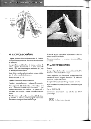 M. adutor·
do hálux
Cabeça
transversa
Cabeça
oblíqua
M. ABDUTOR DO HÁLUX
Origem: processo mediai da tuberosidade do calcâneo,
retináculo flexor, aponeurose plantar e septo intermuscu-
lar adjacente.
Inserção: lado mediai da base da falange proximal do
hálux. Algumas fibras fixam-se ao osso sesamóide
mediai, e um'a faixa tendinosa pode estender-se até a base
da falange proximal do hálux.
Ação: abduz e auxilia na flexão da junta metatarsofalân-
gica do hálux e na adução do antepé.
Nervo: tibial, 14, LS e Sl.
Paciente: em decúbito dorsal ou sentado.
Fixação: o examinador segura o calcanhar firmemente.
Teste: se possível, abdução do hálux a partir da linha axial
do pé. Geralmente isso é difícil para o indivíduo, e a ação
pode ser demonstrada solicitando-se a ele que tracione o
antepé em adução contra a pressão exercida pelo exami-
nador.
Pressão: contra o lado mediai do metatarsal I e da falan-
ge proximal. O músculo pode ser palpado e ocasional-
mente visto ao longo da borda mediai do pé.
Fraqueza: permite o antepé e o hálux valgos e o desloca-
mento mediai do navicular.
Contratura: traciona o pé em antepé varo, com o hálux
abduzido.
M. ADUTOR DO HÁLUX
Origem:
Cabeça oblíqua: das bases dos ossos metatarsais II a IV e
da bainha do tendão do fibular longo.
Cabeça transversa: dos ligamentos metatarsofalângicos
plantares do terceiro ao quinto dedo do pé e do ligamento
metatarsal transverso profundo.
Inserção: lateral da base da falange proximal do hálm.
Ação: aduz e auxilia na flexão da junta metatarsofalângica
do hálm.
Nervo: tibial, Sl e S2.
Contratura: deformidade em adução do hálux
(hálux valgo).
INota: Nenhum teste é ilustrado.
 