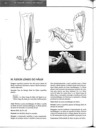 M. flexor
longo dos
dedos
M. FLEXOR LONGO DO HÁLUX
Origem: superfície posterior dos dois terços distais da
fíbula, membrana interóssea e septos e fáscias intermus-
culares adjacentes.
Inserção: base da falange distai do hálux, superfície
plantar.
~ o m. flexor longo do hálux está ligado ao m.
Iji;x~;Íongo dos dedos por uma faixa tendinosa forte.
Ação: flexiona a junta interfalângica do hálux e auxilia
na flexão da junta metatarsofalângica, na flexão plantar
da junta do tornozelo e na inversão do pé.
Nervo: tibial, L5, SI e S2.
Paciente: em decúbito dorsal ou sentado.
Fixação: o examinador estabiliza a junta metatarsofa-
lângica em posição neutra e mantém a junta do torno-
zelo aproximadamente a meio caminho entre a flexão
dorsal e a flexão plantar. (A flexão dorsal total pode pro-
duzir flexão passiva da junta interfalângica, e a flexão
plantar total, acarretar encurtamento excessivo do mús-
culo para exercer sua força máxima.) Se o m. flexor
curto do hálux for muito forte e o m. flexor longo do
hálux, fraco, é necessário restringir a tendência da junta
metatarsofalângica de flexionar-se mantendo a falange
proximal em discreta extensão.
Teste: flexão da junta interfalângica do hálux.
Pressão: contra a superfície plantar da falange distai, na
direção da extensão.
Fraqueza: acarreta tendência à hiperextensão da junta
interfalângica e ao dedo em martelo do hálux. Diminui
a força de inversão do pé e a flexão plantar do tornoze-
lo. Na sustentação de peso, possibilita a pronação do pé.
Contratura: Deformidade de dedo em garra do hálux.
 
