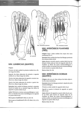 Mm. interósseos plantares Mm. interósseos dorsais
Mm. lumbricais
MM. LUMBRICAIS (QUATRO)
Origem:
Primeiro: do lado mediai do primeiro tendão do m. fle-
xor longo dos dedos.
Segundo: dos lados adjacentes do primeiro e segundo
tendões do m. flexor longo dos dedos.
Terceiro: dos lados adjacentes do segundo e terceiro ten-
dões do m. flexor longo dos dedos.
Quarto: dos lados adjacentes do terceiro e quarto ten-
dões do m. flexor longo dos dedos.
Inserções: lado mediai da falange proximal e expansão
dorsal do tendão do m. extensor longo dos dedos do
segundo ao quinto dedos do pé.
Ações: flexionam as juntas metacarpofalângicas e auxi-
liam na extensão das juntas interfalângicas do segundo
ao quinto dedo do pé.
Nervo para o 1umbrical1: tibial, 14, 15 e SI.
Nervo para os 1umbricais li, III e IV: tibial, 1(4), 1(5),
SI e S2.
MM.INTERÓSSEOS PLANTARES
(TRÊS)
Origem: bases e lados mediais dos corpos dos ossos
metatarsais III a V.
Inserção: lados mediai~ das bases das falanges proximais
dos mesmos dedos do pé.
Ação: aduzem o terceiro, quarto e quinto dedo do pé em
direção à linha axial por meio do segundo dedo do pé.
Auxiliam na flexão das juntas metatarsofalângicas e
podem auxiliar na extensão das juntas metatarsofalângi-
cas do terceiro ao quinto dedo do pé.
Nervo: tibial, SI e S2.
MM. INTERÓSSEOS DORSAIS
(QUATRO)
Origem: cada um, por duas cabeças dos lados adjacen-
tes dos ossos metatarsais.
Inserções: lateral da falange proximal e cápsula da junta
metatarsofalângica.
Primeiro: ao lado mediai do segundo dedo do pé.
Segundo ao quarto: às laterais do segundo ao quinto
dedo do pé.
Ação: abduzem do segundo ao quarto dedo do pé a par-
tir da linha axial através do segundo dedo do pé.
Auxiliam na flexão das juntas metatarsofalângicas e
podem auxiliar na extensão das juntas interfalângicas do
segundo ao quarto dedo do pé.
Nervo: tibial, SI e S2.
 