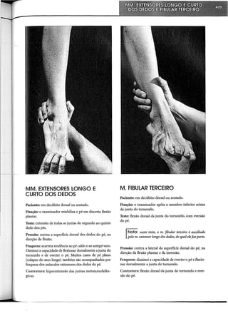 Musculos, provas e funções - Kendall.pdf