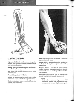 Musculos, provas e funções - Kendall.pdf