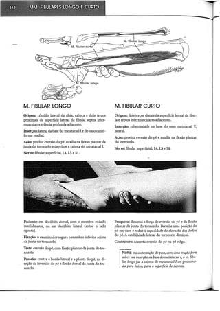 Musculos, provas e funções - Kendall.pdf