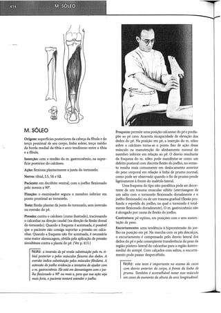 Musculos, provas e funções - Kendall.pdf