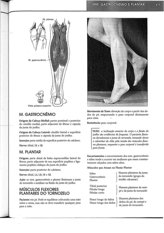 Musculos, provas e funções - Kendall.pdf