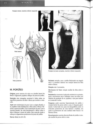 Musculos, provas e funções - Kendall.pdf