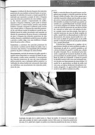 Musculos, provas e funções - Kendall.pdf