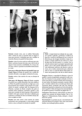 Musculos, provas e funções - Kendall.pdf