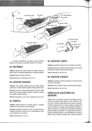 Musculos, provas e funções - Kendall.pdf