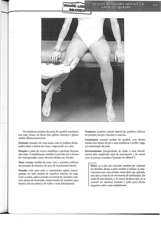 Musculos, provas e funções - Kendall.pdf