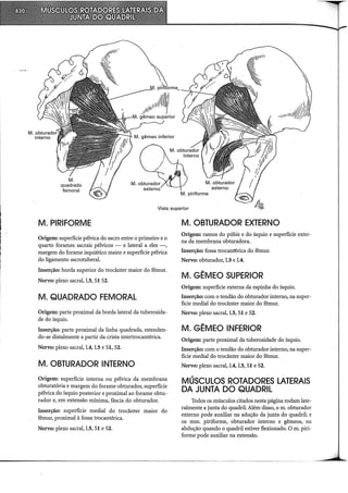 Musculos, provas e funções - Kendall.pdf