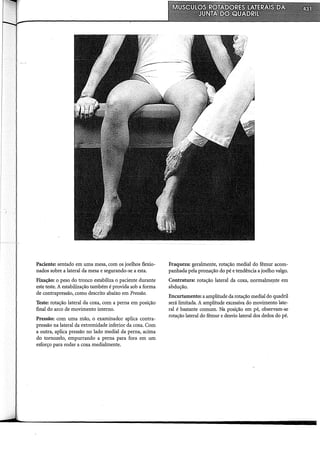 Musculos, provas e funções - Kendall.pdf