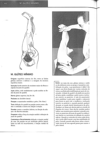 Musculos, provas e funções - Kendall.pdf