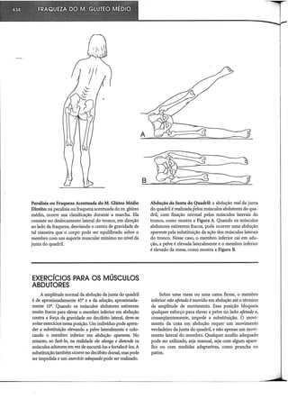 Musculos, provas e funções - Kendall.pdf