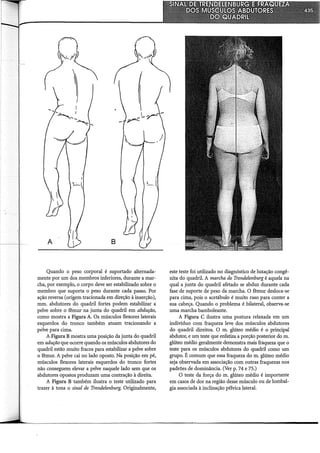 Musculos, provas e funções - Kendall.pdf