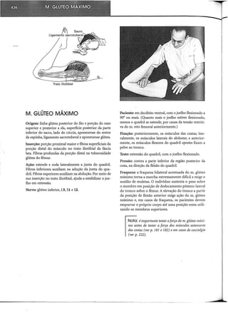 Musculos, provas e funções - Kendall.pdf