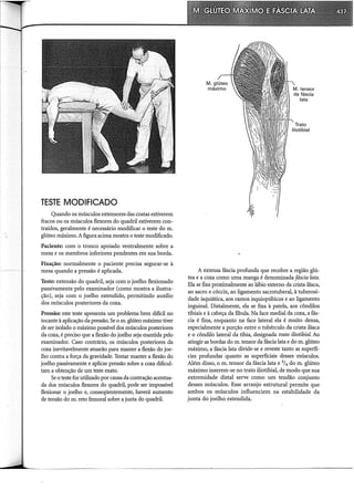 Musculos, provas e funções - Kendall.pdf