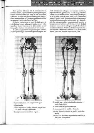 Musculos, provas e funções - Kendall.pdf