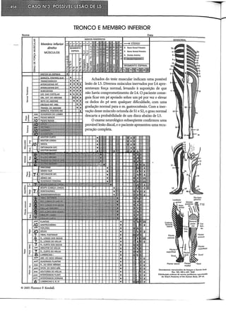Musculos, provas e funções - Kendall.pdf