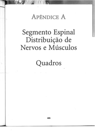 Musculos, provas e funções - Kendall.pdf