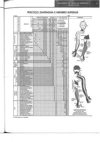 ome
"'
·o;
"
-~
"
u
"'
o
i':
"
z
.,
c:
5
a:
::i
:::>
u
Ul
:::>
2
().
a:
o
U-
w
o
PESCOÇO, DIAFRAGMA E MEMBRO SUPERIOR
MÚSCULO
Dermátomos reproduzidos de
Keegan and Garrett Anat Rec
. 102, 409, 437, 1948
Distribuição cutânea de nervos
periféricos reprodurida de Gray's
Anatomy of the Human Bady. 28. ed.
© 1993 Florence P. Kendall.
 