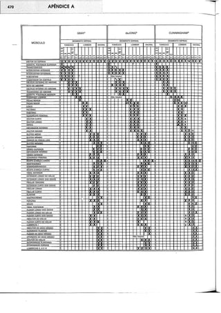 Musculos, provas e funções - Kendall.pdf