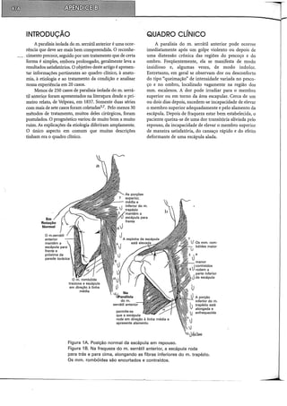 Musculos, provas e funções - Kendall.pdf