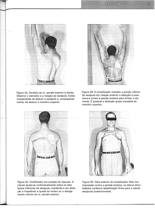 Musculos, provas e funções - Kendall.pdf
