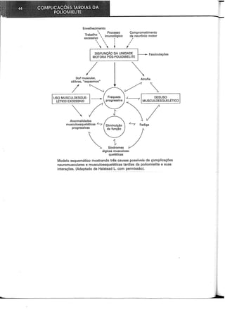 Envelhecimento
 Processo
Trabal~o ' imunológico
excessivo  1
  I
  I
  t
~ '
I
f
Comprometimento
de neurônio motor
I
I
I
DISFUNÇÃO DA UNIDADE ............~ F · J -
MOTORA PÓS-POLIOMIELITE ~ asclcu açoes
/
Dor' muscular,
cãibras, "espasmos"
/
USO MUSCULOESQUE- ~
LÉTICO EXCESSIVO
Anormalidades
musculoesqueléticas ~
progressivas
Atrofia
)
Síndromes
álgicas musculoes-
queléticas
DESUSO
Modelo esquemático mostrando três causas possíveis de çomplicações
neuromusculares e musculoesqueléticas tardias da poliomielite e suas
interações. (Adaptado de Halstead L com permissão).
 