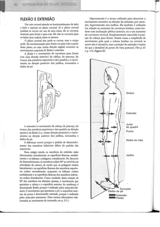 FLEXÃO EEXTENSÃO
Um eixo coronal estende-se horizontalmente de lado
a lado e repousa no plano coronal. Se o plano coronal
pudesse se curvar em um de seus eixos, ele se curvaria
somente para frente e para trás. Ele não se curvaria para
os lados nem rodaria sobre si mesmo.
O plano coronal não pode se curvar, mas o corpo
pode. Na movimentação para frente ou para trás a partir
desse plano, ou seja, numa direção sagital, ocorrem os
movimentos corporais de flexão e extensão.
A flexão é o movimento de ct~rvatura para frente
(em uma direção anterior) da cabeça, do pescoço, do
tronco, das membros superiores e dos quadris; e o movi-
mento na direção posterior dos joelhos, tornozelos e
dedos do pé.
A extensão é o movimento da cabeça, do pescoço, do
tronco, dos membros superiores e dos quadris na direção
oposta à da flexão (i.e., numa direção posterior); e movi-
mentos na direção anterior dos joelhos, tornozelos e
dedos do pé.
A diferença ocorre porque o padrão de desenvolvi-
mento dos membros inferiores difere do padrão das
superiores.
Num estágio inicial, os membros do embrião estão
direcionados ventralmente; as superfícies flexoras, mediai-
mente; e os háluxes e polegares, cranialmente. No decorrer
do desenvolvimento, os membros rodam 90° no nível de sua
articulação da cintura, de modo que os polegares rodam
lateralmente e as superfícies flexoras dos membros superio-
res rodam ventralmente, enquanto os háluxes rodam
medialmente e as superfícies flexoras dos membros inferio-
res rodam dorsalmente. Como resultado dessa rotação de
90° dos membros em direções opostas, o movimento que
aproxima a cabeça e a superfície anterior do antebraço é
denominado flexão, porque é realizado pelos músculos fle-
xores. O movimento que aproxima o pé e a superfície ante-
rior da perna é denominado extensão, porque é realizado
pelos músculos extensores. (Para termos alternativos rela-
cionados ao movimento do tornozelo, ver p. 371.)
Hiperextensão é o termo utilizado para descrever o
movimento excessivo na direção da extensão, por exem-
plo, hiperextensão dos joelhos. Ele também é utilizado
em relação ao aumento da curvatura lombar, como lar-
dose com inclinação pélvica anterior, ou a um aumento
da curvatura cervical, freqüentemente associado à posi-
ção da cabeça para frente. Nesses casos, a amplitude de
movimento pela qual a coluna lombar ou cervical se
move não é excessiva, mas a posição de extensão é maior
do que a desejável do ponto de vista postural. (Ver p. 67
e p. 153, Figura D)
Ombro
Cotovelo
Junta
do quadril
Punho
Dedos da mão
Joelho
BIIIIExtensão
BliiiFiexão
 