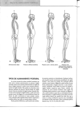 A
T
I
Alinhamento ideal Postura cifótica-lordótica
TIPOS DE ALINHAMENTO POSTURAL
As curvas normais da coluna vertebral consistem em
uma curva convexa anteriormente no pescoço (região
cervical), numa curva convexa posteriormente na região do
dorso (região torácica) e numa curva convexa anterior-
mente na região lombar. Elas podem ser descritas como
discreta extensão do pescoço, discreta flexão da região
dorsal e discreta extensão da região lombar. Quando exis-
te uma curva normal na região lombar, a pelve está numa
posição neutra. Na Figura A, as proeminências ósseas na
frente da pelve encontram-se numa posição neutra,
como indicado pelas espinhas iliacas ântero-superiores e
a sínfise púbica, que estão no mesmo plano vertical.
Numa postura defeituosa, a pelve pode estar inclina-
Postura com o dorso plano Postura com
deslocamento posterior
do dorso (sway-back ou
relaxada)
da anterior, posterior ou lateralmente. Qualquer inclina-
ção da pelve envolve movimentos simultâneos da região
lombar e das juntas do quadril. Na inclinação pélvica
anterior, como mostra a Figura B, a pelve inclina-se para
frente, diminuindo o ângulo entre ela e a coxa anterior-
mente, resultando numa flexão da junta do quadril; a
região lombar arqueia-se para frente, criando um
aumento da curva anterior (lordose) nessa região. Na
inclinação pélvica posterior, como most~.am as Figuras C
e D, a pelve inclina-se para trás, as articulações do qua-
dril se estendem e a região lombar se torna plana. Na incli-
nação pélvica latera~ um quadril fica mais alto que o
outro e a coluna vertebral se encurva com convexidade
em direção ao lado mais baixo. (Para a inclinação pélvica
lateral, ver p. 74, 75, 112,434, 435 e 439.)
 