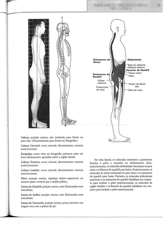 t
I
Cabeça: posição neutra, não inclinada para frente ou
para trás. (Discretamente para frente na fotografia.)
Coluna Cervical: curva normal, discretamente convexa
anteriormente.
Escápulas: como visto na fotografia, parecem estar em
bom alinhamento, apoiadas sobre a região dorsal.
Coluna Torácica: curva normal, discretamente convexa
posteriormente.
Coluna Lombar: curva normal, discretamente convexa
anteriormente.
Pelve: posição neutra, espinhas ântero-superiores no
mesmo plano vertical que a sínfise púbica.
Juntas do Quadril: posição neutra, nem flexionadas nem
estendidas.
Juntas do Joelho: posição neutra, nem flexionadas nem
estendidas.
Juntas do Tornozelo: posição neutra, perna vertical e em
ângulo reto com a planta do pé.
Extensores
Quadril
Glúteo
Posteriores
da coxa
uo externo
Fl.,,xnrA"' do Quadril
Tensor da fáscia
lata
Na vista lateral, os músculos anteriores e posteriores
fixados à pelve a mantêm no alinhamento ideal.
Anteriormente, os músculos abdominais tracionam-se para
cima e os flexores do quadril, para baixo. Posteriormente, os
músculos do dorso tracionam-se para cima e os extensores
do quadril, para baixo. Portanto, os músculos abdominais
anteriores e os extensores do quadril trabalham em conjun-
to para inclinar a pelve posteriormente; os músculos da
região lombar e os flexores do quadril.trabalham em con-
junto para inclinar a pelve anteriormente.
 