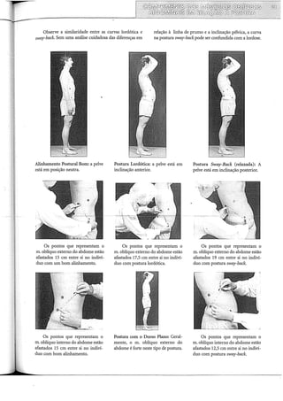 Observe a similaridade entre as curvas lordótica e
sway-back. Sem uma análise cuidadosa das diferenças em
relação à linha de prumo e a inclinação pélvica, a curva
na postura sway-back pode ser confundida com a lordose.
Alinhamento Postura! Bom: a pelve
está em posição neutra.
Os pontos que representam o
m. oblíquo externo do abdome estão
afastados 15 em entre si no indiví-
duo com um bom alinhamento.
Os pontos que representam o
m. oblíquo interno do abdome estão
afastados 15 em entre si no indiví-
duo com bom alinhamento.
Postura Lordótica: a pelve está em
inclinação anterior.
Os pontos que representam o
m. oblíquo externo do abdome estão
afastados 17,5 em entre si no indiví-
duo com postura lordótica.
Postura com o Dorso Plano: Geral-
mente, o m. oblíquo externo do
abdome é forte neste tipo de postura.
Postura Sway-Back (relaxada): A
pelve está em inclinação posterior.
Os pontos que representam o
m. oblíquo externo do abdome estão
afastados 19 em entre si no indiví-
duo com postura sway-back.
Os pontos que representam o
m. oblíquo interno do abdome estão
afastados 12,5 em entre si no indiví-
duo com postura sway-back.
 