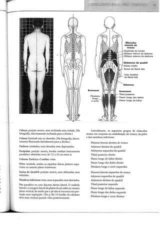 Cabeça: posição neutra, nem inclinada nem rodada. (Na
fotografia, discretamente inclinada para a direita.)
Coluna Cervical: reta no desenho. (Na fotografia, discre-
tamente flexionada lateralmente para a direita.)
Ombros: nivelados, nem elevados nem deprimidos.
Escápulas: posição neutra, bordas mediais basicamente
paralelas e afastadas cerca de 7,5 a 10 em entre si.
Colunas Torácica e Lombar: retas.
Pelve: nivelada, ambas as espinhas ilíacas póstero-supe-
riores no mesmo plano transverso.
Juntas do Quadril: posição neutra, nem abduzidas nem
aduzidas.
Membros Inferiores: retos, nem arqueados nem desviados.
Pés: paralelos ou com discreto desvio lateral. O maléolo
lateral e a margem lateral da planta do pé estão no mesmo
plano vertical, de modo que o pé não se encontra em pro-
nação nem supinação. (Ver p. 80.) O tendão do calcâneo
deve estar vertical quando visto posteriormente.
Eversores
Músculos
laterais do
_....-t-·u•~aurado do lombo
_.....-....,.u....,uo interno do abdome
__,.•....,,,.,,..,uo externo do abdome
Abdutores do quadril
Tensor da fáscia lata
Trato iliotibial
da fáscia lata
Adutores
Inversores
libial posterior
Flexor longo dos dedos
Flexor longo do hálux
Lateralmente, os seguintes grupos de músculos
atuam em conjunto na estabilização do tronco, da pelve
e dos membros inferiores:
Flexores laterais direitos do tronco
Adutores direitos do quadril
Abdutores esquerdos do quadril
Tibial posterior direito
Flexor longo do hálux direito
Flexor longo dos dedos direito
Fibulares lon~o e curto esquerdos
Flexores laterais esquerdos do tronco
Adutores esquerdos do quadril
Abdutores direitos do quadril
Tibial posterior esquerdo
Flexor longo do hálux esquerdo
Flexor longo dos dedos esquerdo
Fibulares longo e curto direitos
 