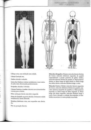 )
Cabeça: ereta, nem inclinada nem rodada.
Coluna Cervical: reta.
Ombro: elevado e aduzido.
Juntas dos Ombros: rodadas medialrnente, como indica-
do pelas mãos direcionadas posteriormente.
Escápulas: aduzidas e elevadas.
Colunas Torácica e Lombar: discreta curva toracolombar
convexa para a direita.
Pelve: inclinação lateral, mais alta à esquerda.
Juntas do Quadril: esquerda aduzida e levemente rodada
medialrnente; direita abduzida.
Membros Inferiores: retas, nem arqueadas nem desvia-
das.
Pés: em pronação discreta.
MúsculosAlongados e Fracos: músculos laterais direitos
do tronco, músculos abdutores esquerdos do quadril
(especialmente a porção posterior do glúteo médio),
músculos adutores direitos do quadril, m. tibial posterior
direito, m. flexor longo do hálux direito, m. flexor longo
dos dedos direito, músculos fibulares longo e curto.
Músculos Curtos e Fortes: músculos laterais esquerdos
do tronco, músculos abdutores direitos do quadril, mús-
culos adutores esquerdos do quadril, m. tibial posterior
esquerdo, m. flexor longo do hálux esquerdo, m. flexor
longo dos dedos esquerdo, músculos fibulares longo e
curto. Com a elevação e a adução das escápulas, os rom-
bóides encontram-se numa posição encurtada.
 