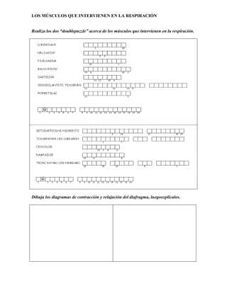 LOS MÚSCULOS QUE INTERVIENEN EN LA RESPIRACIÓN
Realiza los dos “doublepuzzle” acerca de los músculos que intervienen en la respiración.
Dibuja los diagramas de contracción y relajación del diafragma, luegoexplícalos.
 