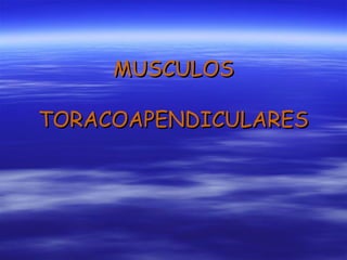 MUSCULOSMUSCULOS
TORACOAPENDICULARESTORACOAPENDICULARES
 