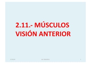 2.11.-­‐	
  MÚSCULOS	
  
VISIÓN	
  ANTERIOR	
  
17/10/10	
   1	
  ALF	
  2010/2011	
  
 