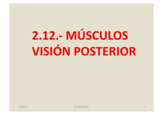 2.12.-­‐	
  MÚSCULOS	
  
VISIÓN	
  POSTERIOR	
  
17/10/10	
   1	
  ALF	
  2010/2011	
  
 