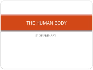 5º OF PRIMARY
THE HUMAN BODY
 